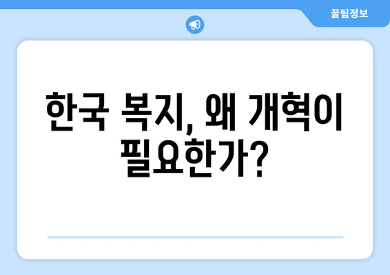 복지 정책 개혁 필요성과 그 추진 방향