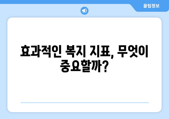 복지 정책 성과 측정을 위한 체계적 지표 개발